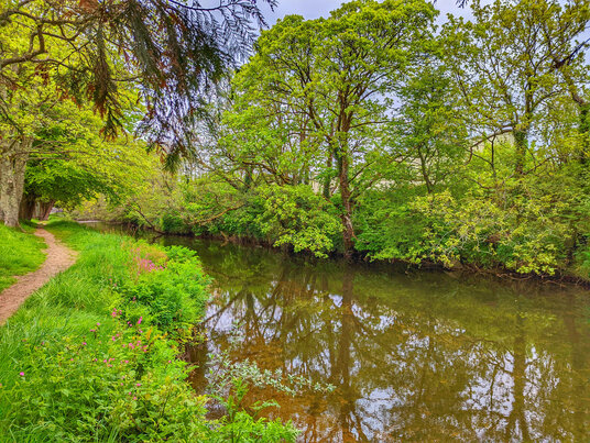 River Fowey