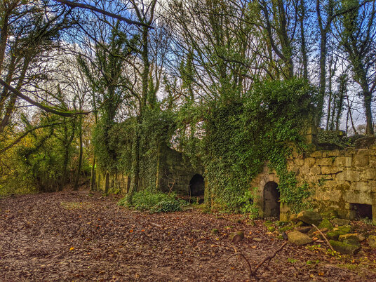 Lower Tregargus Mill