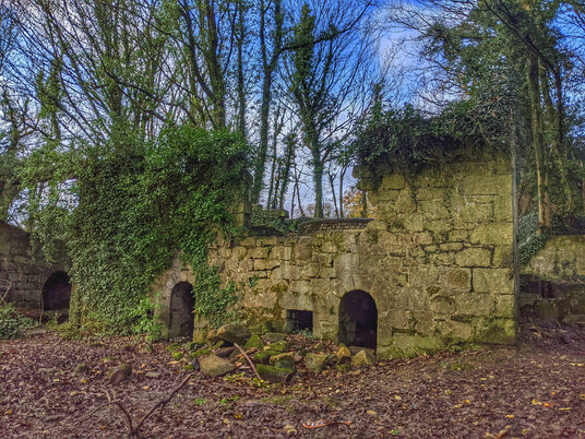Lower Tregargus Mill