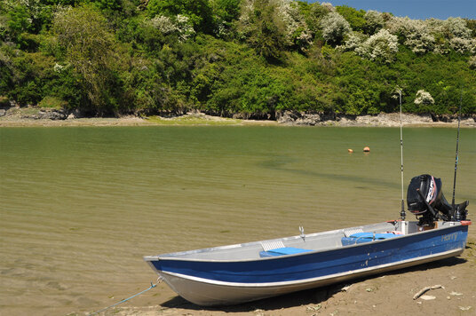 Boat on Little Petherick Creek