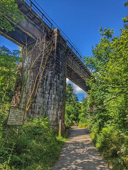 Lower path in Luxulyan Valley
