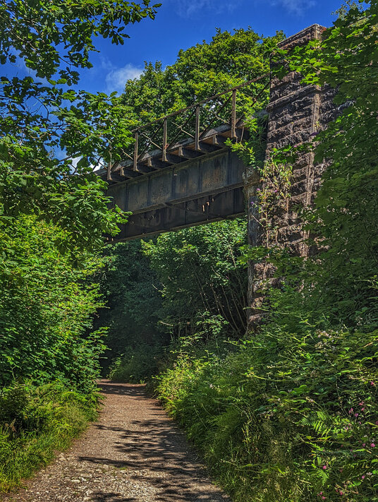 Lower path in Luxulyan Valley