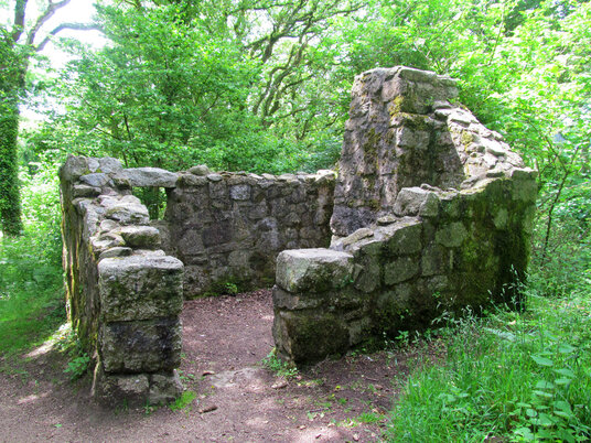 Ruins in Luxulyan Valley