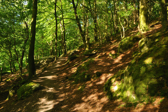 Path to the top of the viaduct