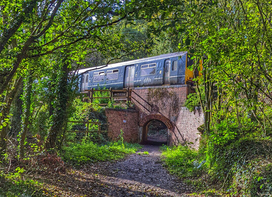 Railway Bridge in the Luxulyan Valley