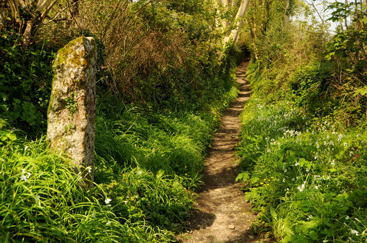 Footpath from Maenporth