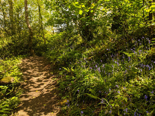 Path along the river