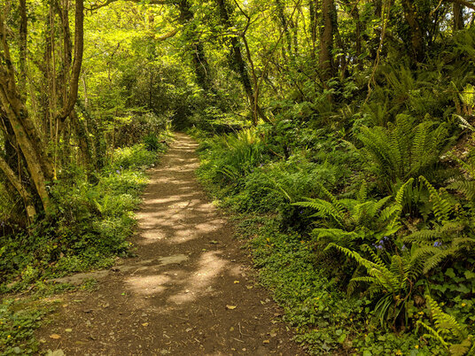 Path along the river