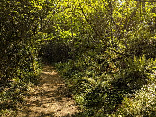 Path along the river