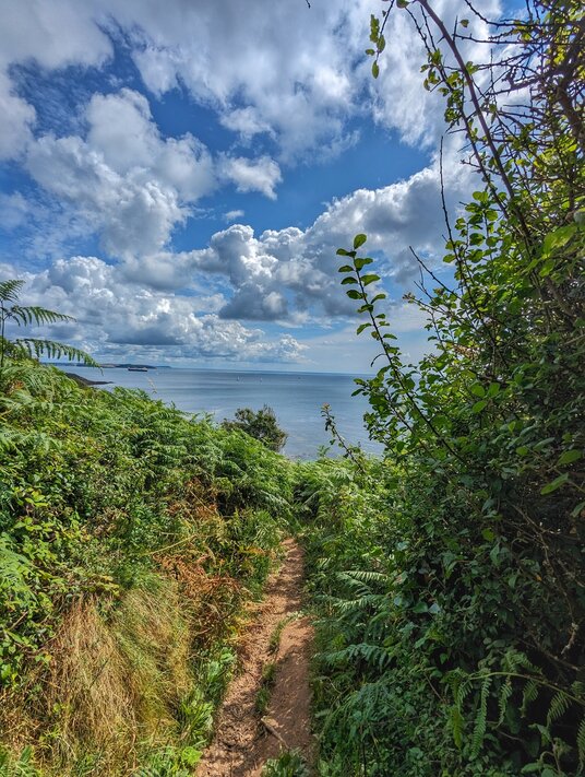 Coast path near Mawnan