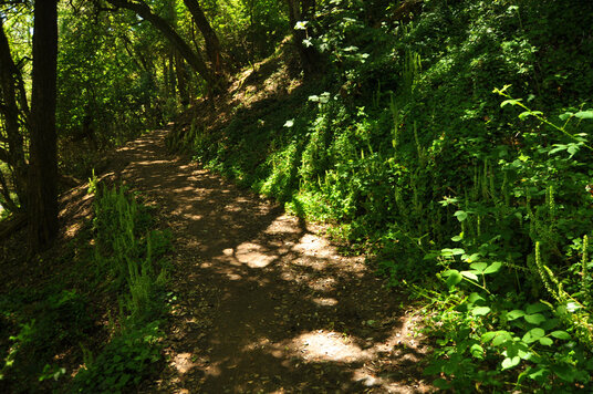 Coast Path near Mawnan church