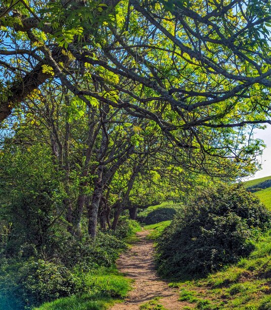 Path to Mawnan Church