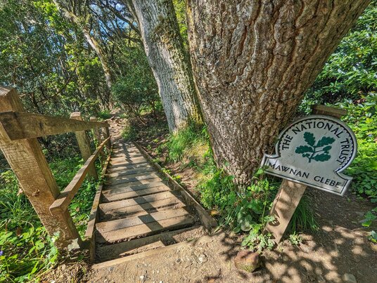 Steps at Mawnan Glebe