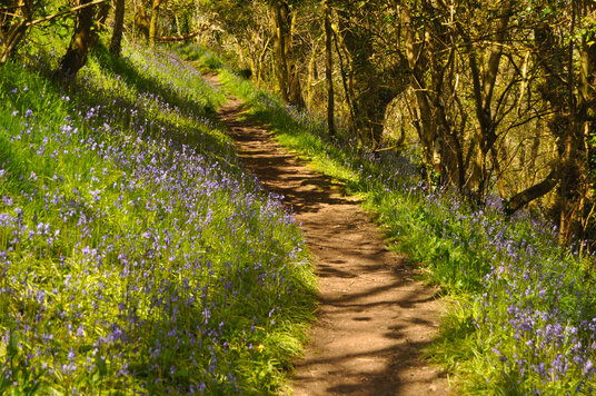 Path from Melinsey Mill
