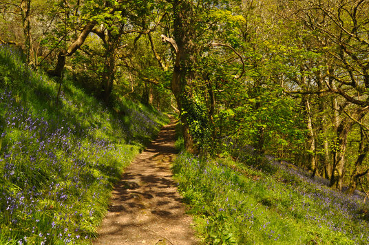 Path from Melinsey Mill