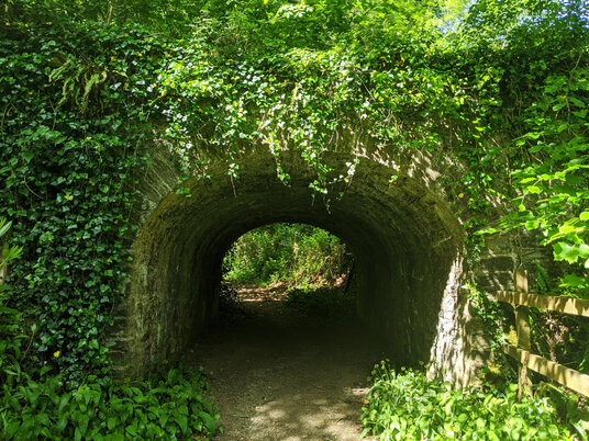 Footpath to Tregaminion