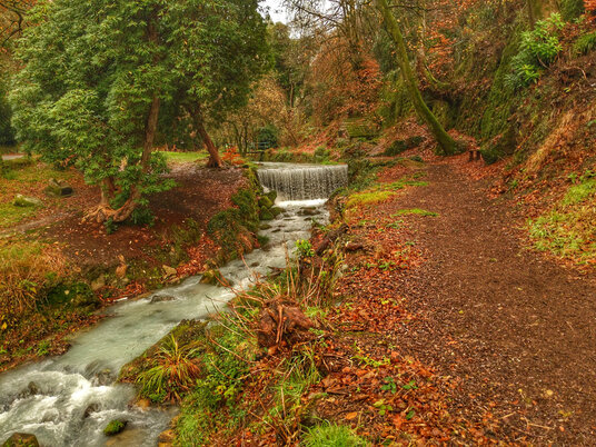 Waterfall at Menacuddle Well in autumn