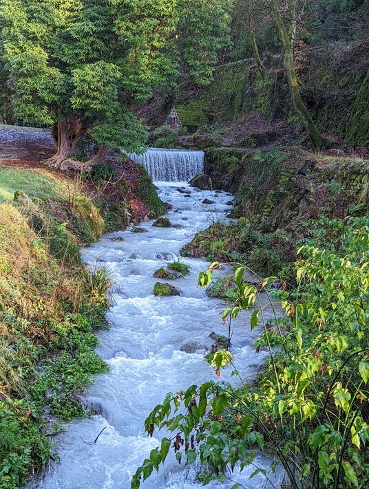 River at Menacuddle Well