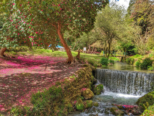 Waterfall at Menacuddle Well