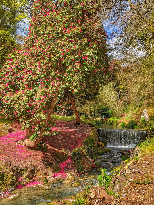Waterfall at Menacuddle Well