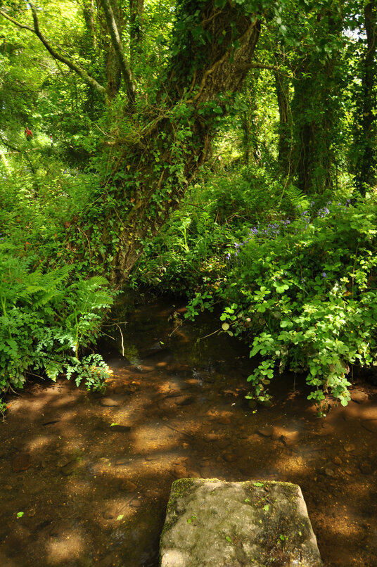 Stream at Menadarva