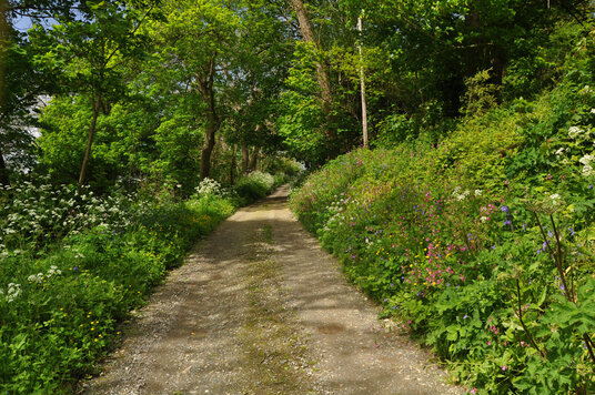 Track from Menadarva