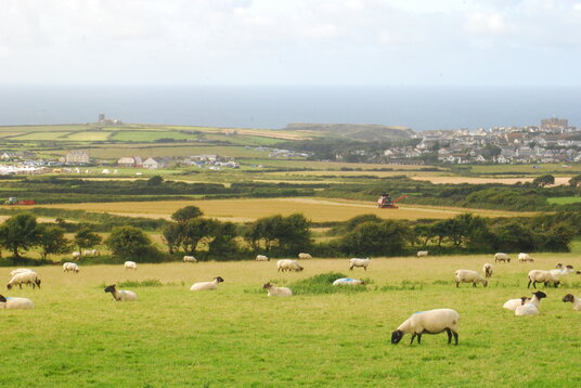 View over Tintagel