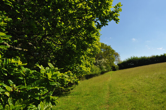 Footpath to Messack Point