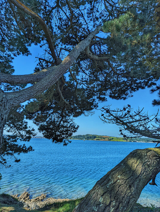 View from Messack Point