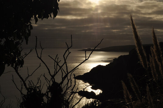 View over Mevagissey Bay