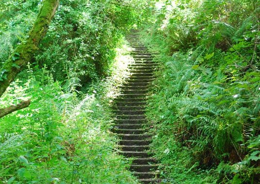 Steps to the valley floor