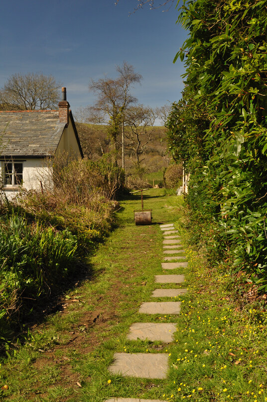 Path through Millook Valley