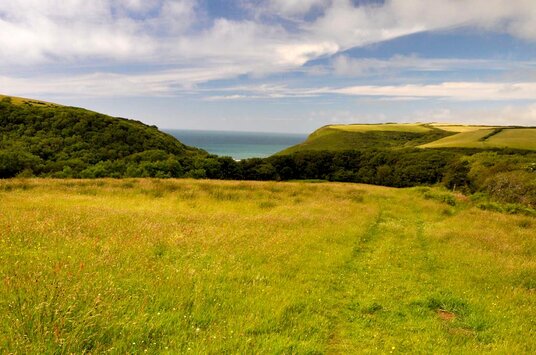 View from Trebarfoote