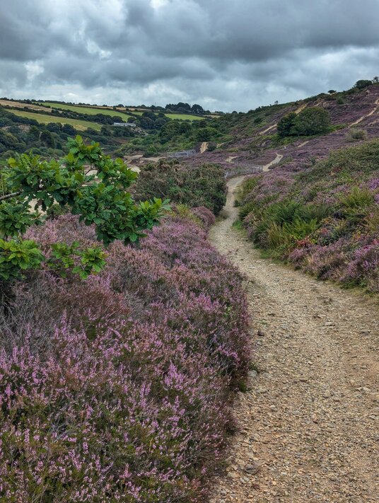 Mining trails to from Twelveheads