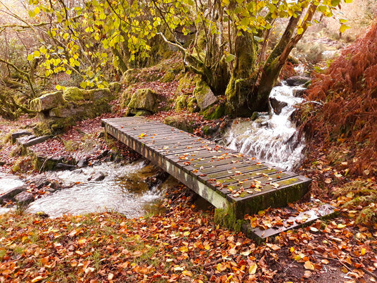 Footbridge at Minions