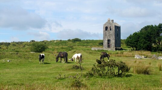 Minions Heritage Centre