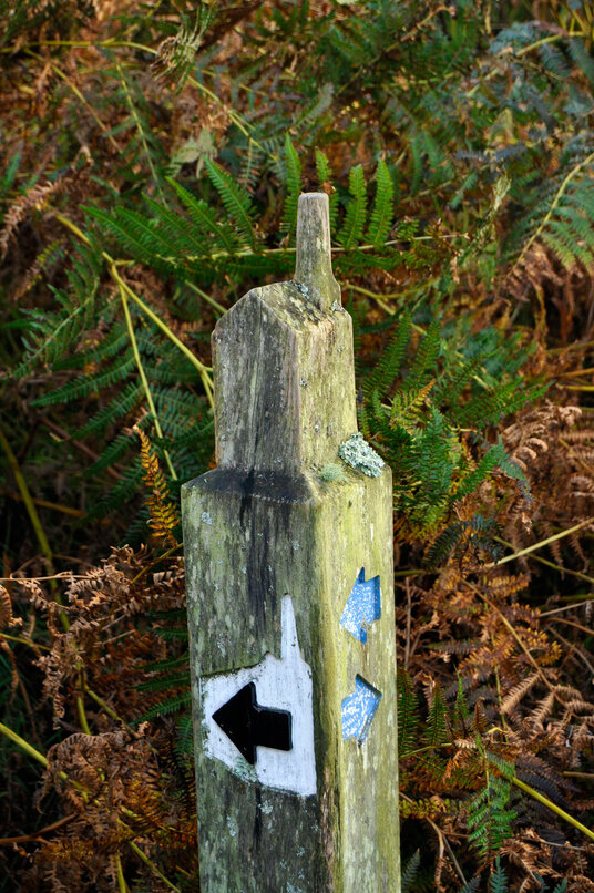 Elaborate waymark