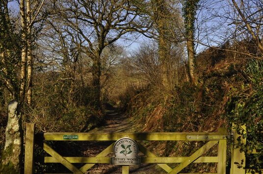 Peter's Wood near Minster Church