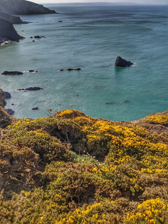 Coastline at Morwenstow