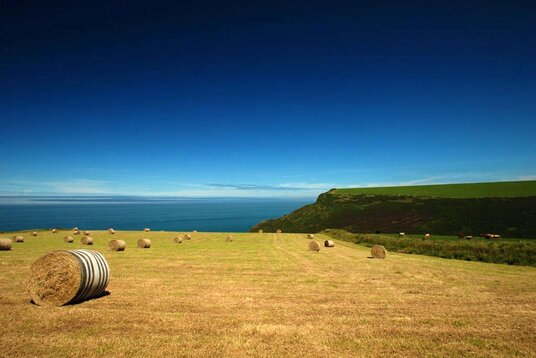 Fields above Vicarage Cliff