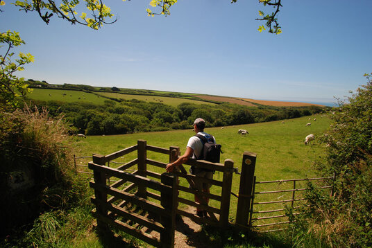 Path back to the Bush Inn