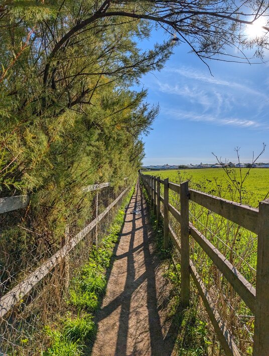 Footpath at Mother Ivey's Bay