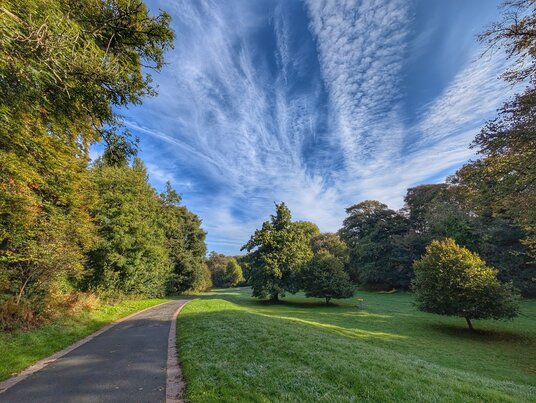 Parkland at Mount Edgcumbe