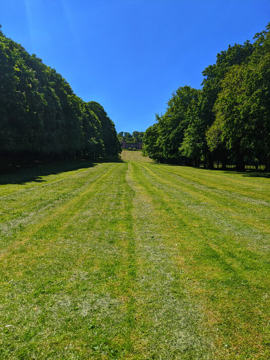 Grassy path towards Mount Edgcumbe House