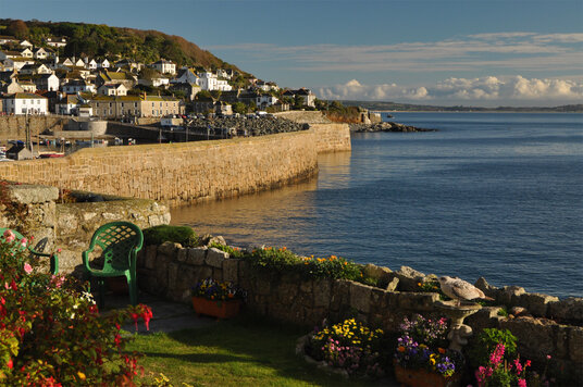 Seagull in a birdbath