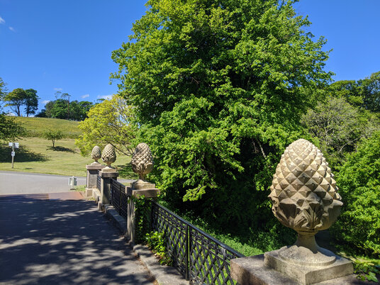 Bridge to Mount Edgcumbe House