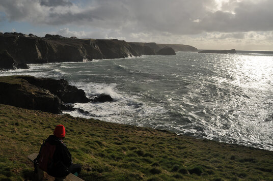 Bench on the Coast Path to Polurrian Cove
