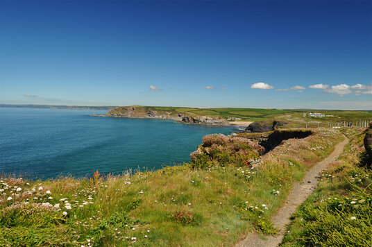 Coast Path at Mullion