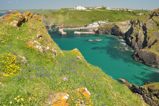 Mullion Harbour from Mullion Cliff