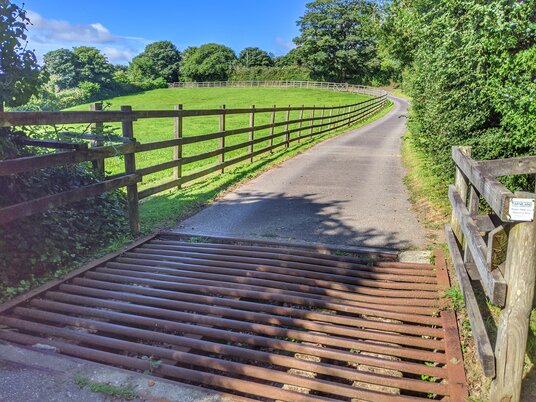 Path to Nangitha Farm
